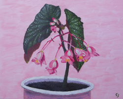 Painting: Indonesian Begonia